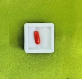 Red Coral
