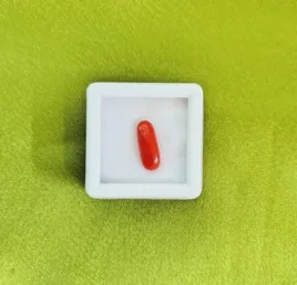 Red Coral