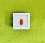 Red Coral