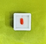 Red Coral