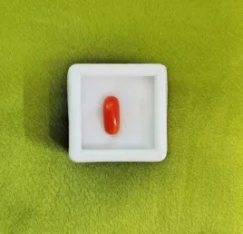 Red Coral