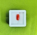 Red Coral
