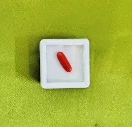 Red Coral