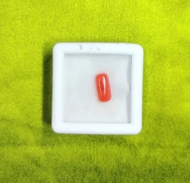 Red Coral