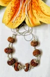 Rog Mukti Rudraksha Mala