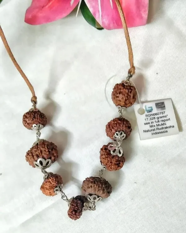 Rog Mukti Rudraksha Mala
