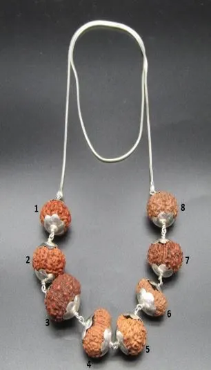 Rog Mukti Rudraksha Mala