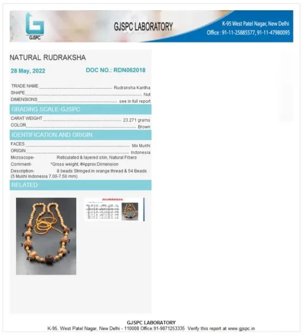 Rog Mukti Rudraksha Mala Certificate