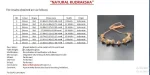 Rog Mukti Rudraksha Mala Certificate