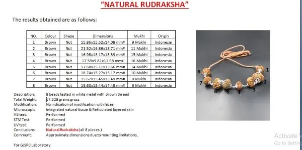 Rog Mukti Rudraksha Mala Certificate