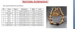 Rog Mukti Rudraksha Mala Certificate
