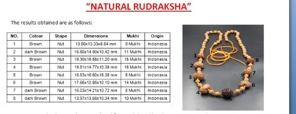 Rog Mukti Rudraksha Mala Certificate