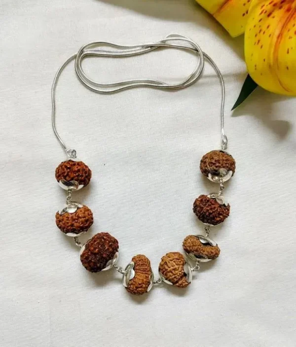 Rog Mukti Rudraksha Mala