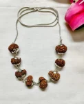 Rog Mukti Rudraksha Mala