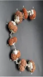 Rog Mukti Rudraksha Mala