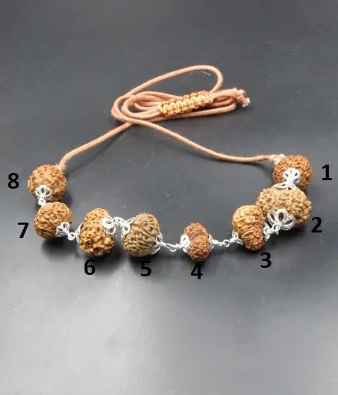 Rog Mukti Rudraksha Mala