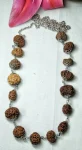 Sarva Siddha Rudraksha Mala