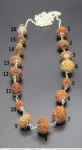 Sarva Siddha Rudraksha Mala