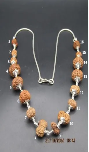 Sarva Siddha Rudraksha Mala