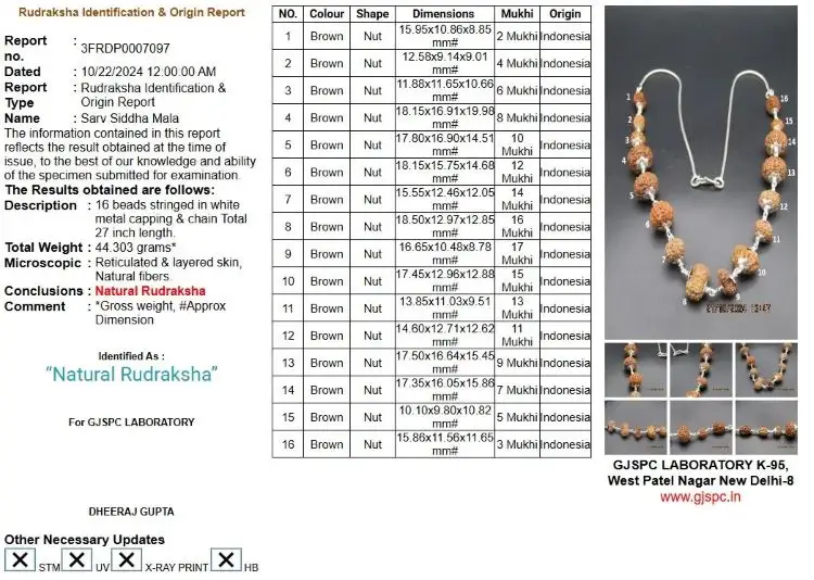 Sarva Siddha Rudraksha Mala Certificate