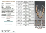 Sarva Siddha Rudraksha Mala Certificate