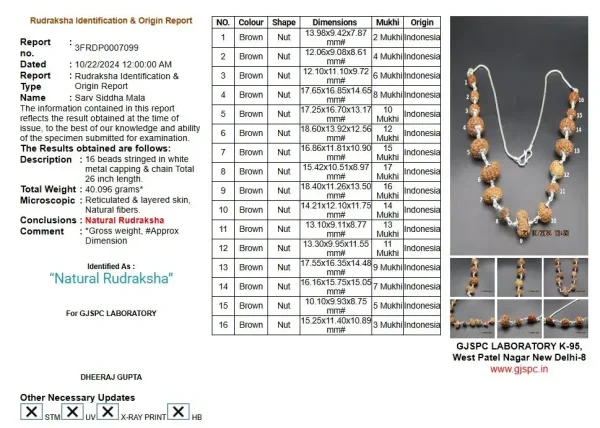 Sarva Siddha Rudraksha Mala Certificate