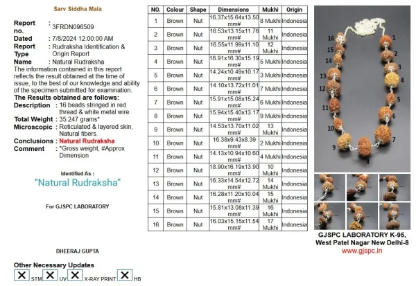 Sarva Siddha Rudraksha Mala Certificate