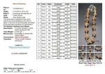 Sarva Siddha Rudraksha Mala Certificate