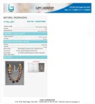 Sarva Siddha Rudraksha Mala Certificate