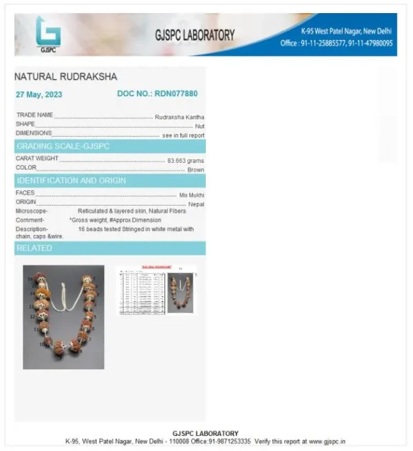 Sarva Siddha Rudraksha Mala Certificate