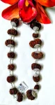Sarva Siddha Rudraksha lab Mala