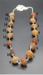 Sarva Siddha Rudraksha Mala