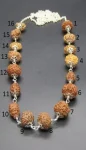 Sarva Siddha lab Rudraksha Mala
