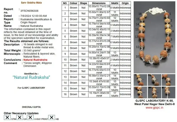 Sarva Siddha lab Rudraksha Mala Certificate