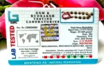 Siddha Rudraksha Mala Certificate
