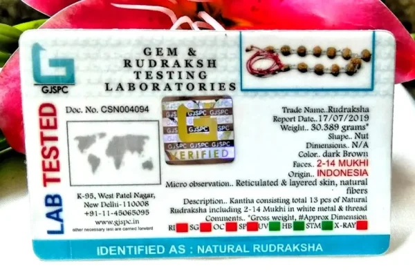 Siddha Rudraksha Mala Certificate