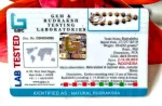 Siddha Rudraksha Mala Certificate