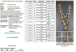 Siddha Rudraksha Mala Certificate