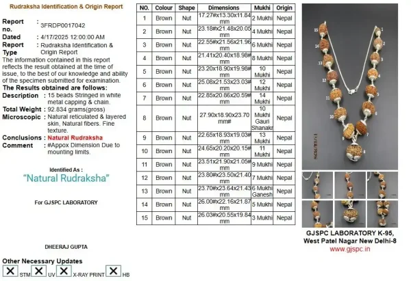 Siddha Rudraksha Mala Certificate