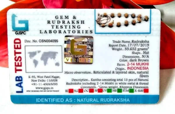Siddha Rudraksha Mala Certificate