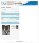 Siddha Rudraksha Mala Certificate