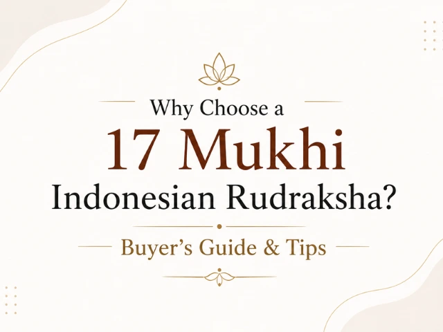 Why Choose a 17 Mukhi Indonesian Rudraksha Buyer’s Guide & Tips (1)